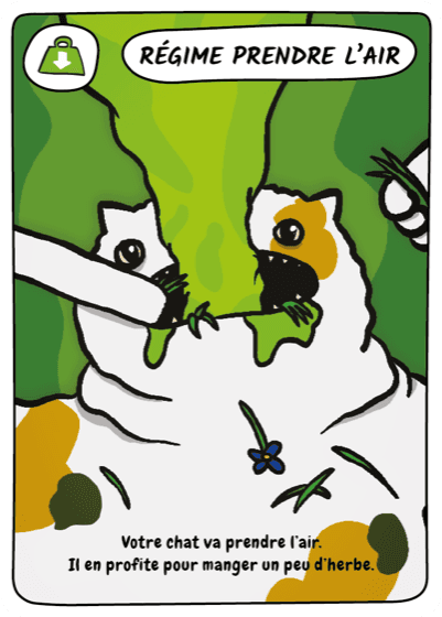 Croc-Miam — 13